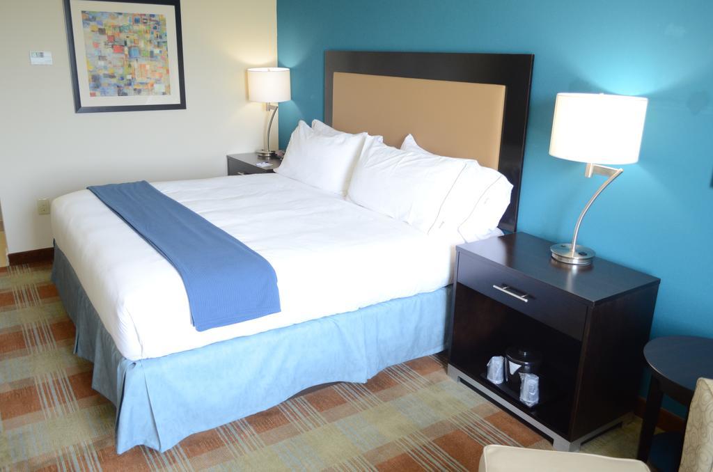 Holiday Inn Express & Suites Houston Northwest-Brookhollow, An Ihg Hotel Room photo